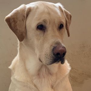 Meet your Posher, Ethan